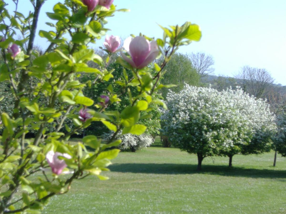 Gites Du Manoir De Goandour โครซง ภายนอก รูปภาพ
